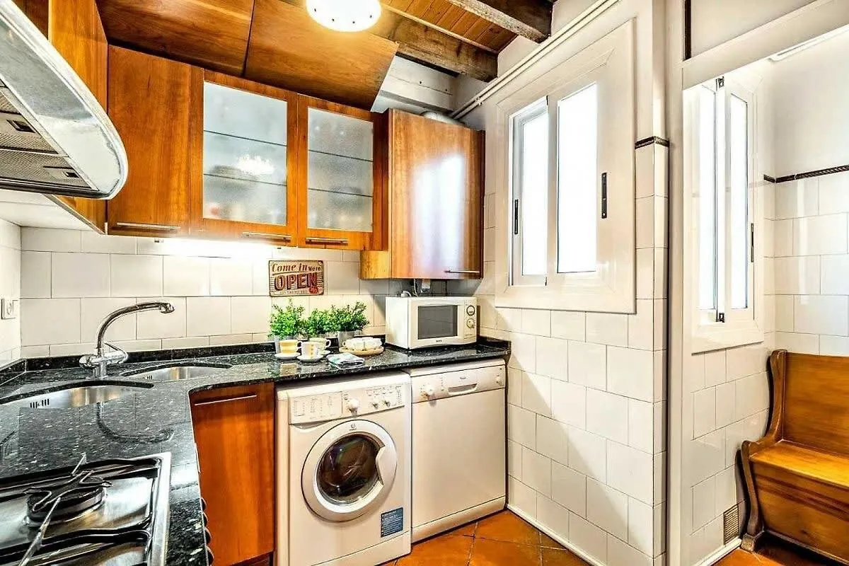 Апартаменты Paseo De Gracia Sunny 2Br Penthouse Барселона 0*,  Испания